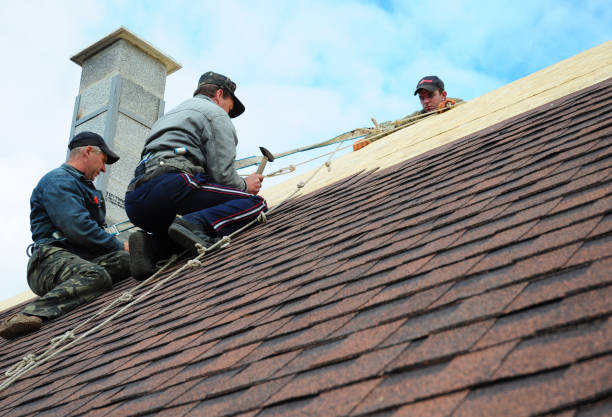 Quick and Trustworthy Emergency Roof Repair Services in Azalea Park, FL